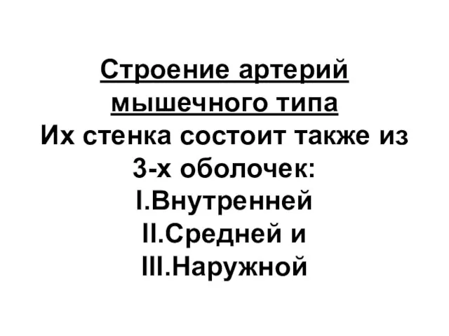 Строение артерий мышечного типа Их стенка состоит также из 3-х оболочек: I.Внутренней II.Средней и III.Наружной