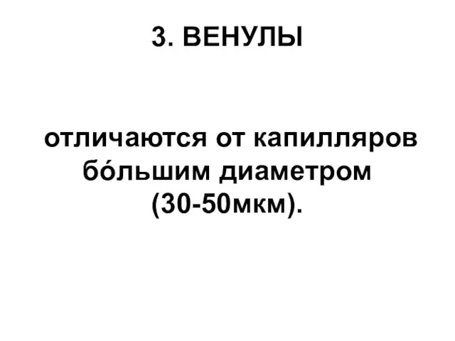 3. ВЕНУЛЫ отличаются от капилляров бóльшим диаметром (30-50мкм).