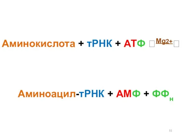 Аминокислота + тРНК + АТФ ?Mg2+? Аминоацил-тРНК + АМФ + ФФн