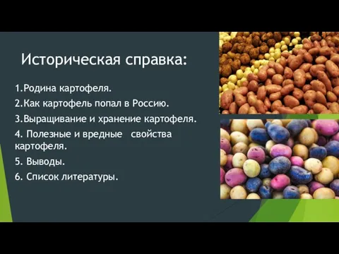 Историческая справка: 1.Родина картофеля. 2.Как картофель попал в Россию. 3.Выращивание и хранение