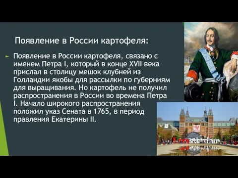 Появление в России картофеля: Появление в России картофеля, связано с именем Петра