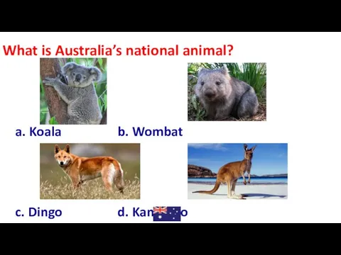 What is Australia’s national animal? a. Koala b. Wombat c. Dingo d. Kangaroo