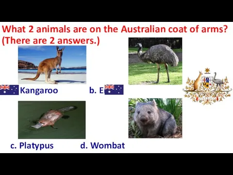 What 2 animals are on the Australian coat of arms? (There are