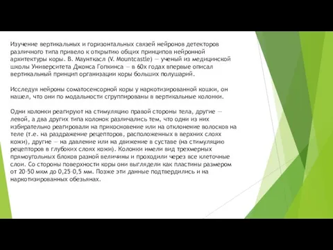 Изучение вертикальных и горизонтальных связей нейронов детекторов различного типа привело к открытию