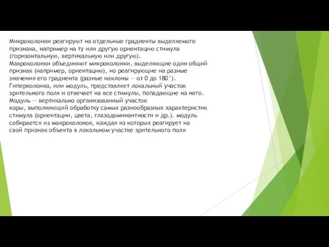 Микроколонки реагируют на отдельные градиенты выделяемого признака, например на ту или другую