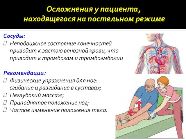 Сосуды: Неподвижное состояние конечностей приводит к застою венозной крови, что приводит к