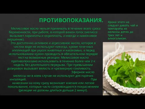 ПРОТИВОПОКАЗАНИЯ. Мелиссовое масло нельзя принимать в течение всего срока беременности, при работе,