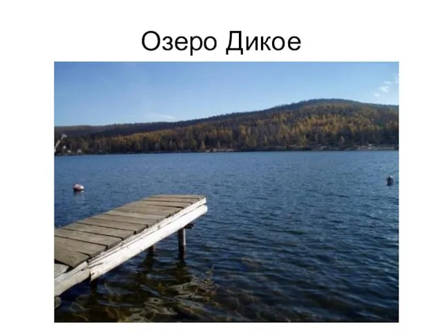 Озеро Дикое