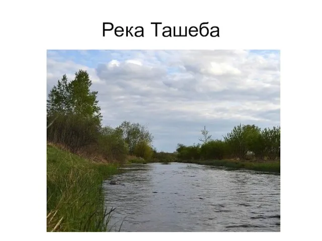 Река Ташеба