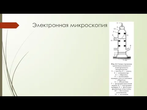 Электронная микроскопия