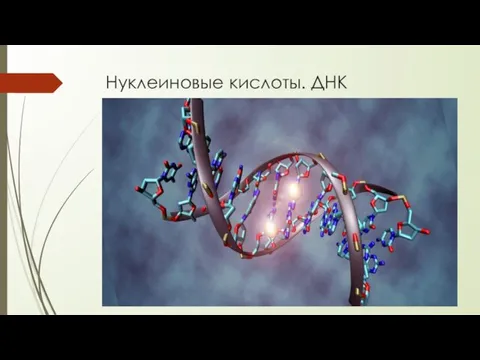 Нуклеиновые кислоты. ДНК