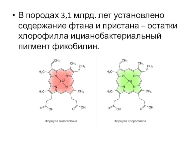 В породах 3,1 млрд. лет установлено содержание фтана и пристана – остатки хлорофилла ицианобактериальный пигмент фикобилин.