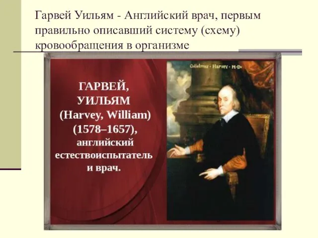 Гарвей Уильям - Английский врач, первым правильно описавший систему (схему) кровообращения в организме