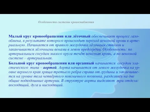 Особенности системы кровоснабжения Малый круг кровообращения или лёгочный обеспечивает процесс газо-обмена, в