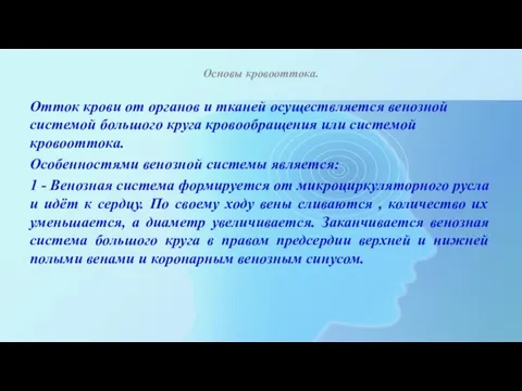 Основы кровооттока. Отток крови от органов и тканей осуществляется венозной системой большого