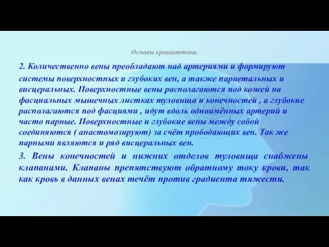 Основы кровооттока. 2. Количественно вены преобладают над артериями и формируют системы поверхностных