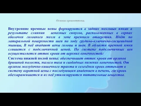 Основы кровооттока. Внутренние яремные вены формируются в задних мозговых ямках в результате