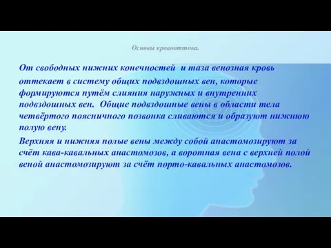 Основы кровооттока. От свободных нижних конечностей и таза венозная кровь оттекает в