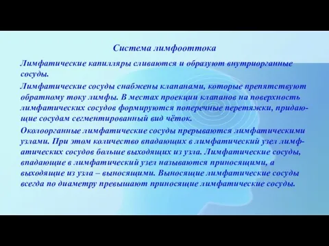 Система лимфооттока Лимфатические капилляры сливаются и образуют внутриорганные сосуды. Лимфатические сосуды снабжены