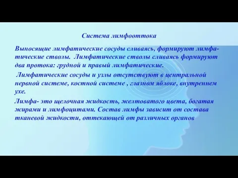 Система лимфооттока Выносящие лимфатические сосуды сливаясь, формируют лимфа-тические стволы. Лимфатические стволы сливаясь