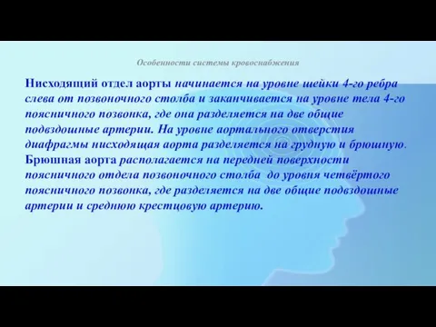 Особенности системы кровоснабжения Нисходящий отдел аорты начинается на уровне шейки 4-го ребра