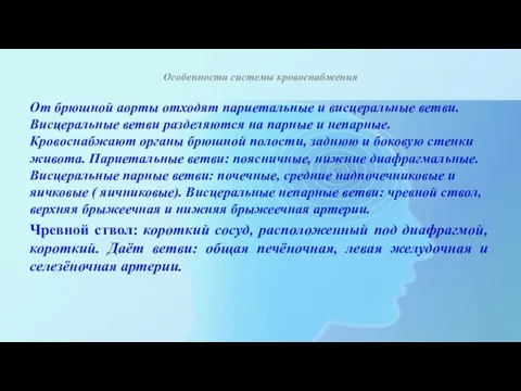 Особенности системы кровоснабжения От брюшной аорты отходят париетальные и висцеральные ветви. Висцеральные