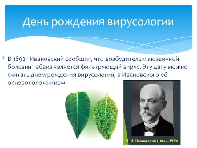 В 1892г Ивановский сообщил, что возбудителем мозаичной болезни табака является фильтрующий вирус.
