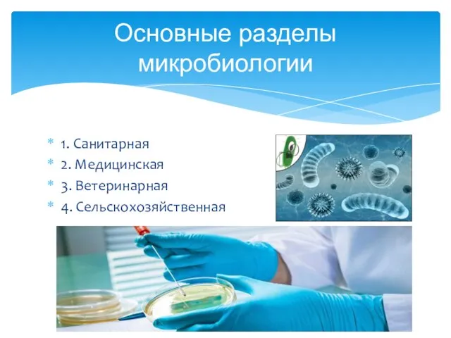 1. Санитарная 2. Медицинская 3. Ветеринарная 4. Сельскохозяйственная Основные разделы микробиологии