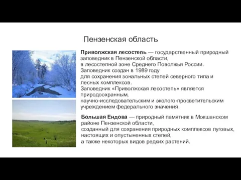 Пензенская область Приволжская лесостепь — государственный природный заповедник в Пензенской области, в