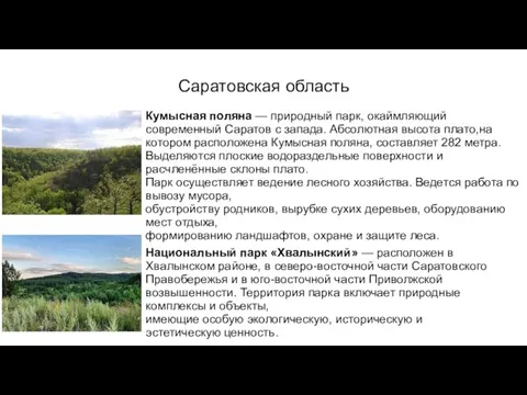 Саратовская область Кумысная поляна — природный парк, окаймляющий современный Саратов с запада.