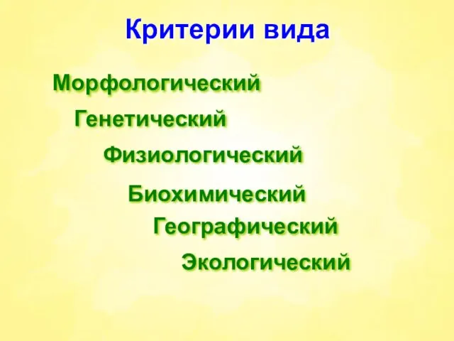 Критерии вида Морфологический Генетический Физиологический Биохимический Географический Экологический