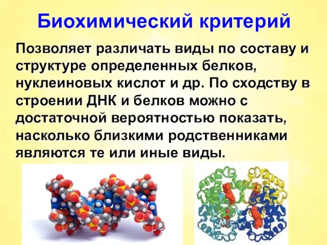 Биохимический критерий Позволяет различать виды по составу и структуре определенных белков, нуклеиновых