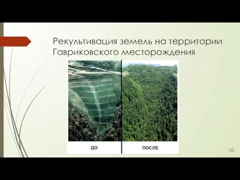 Рекультивация земель на территории Гавриковского месторождения 10
