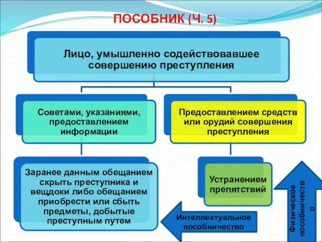 ПОСОБНИК (Ч. 5) Физическое пособничество Интеллектуальное пособничество