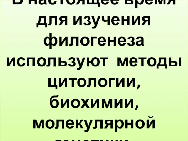 В настоящее время для изучения филогенеза используют методы цитологии, биохимии, молекулярной генетики.