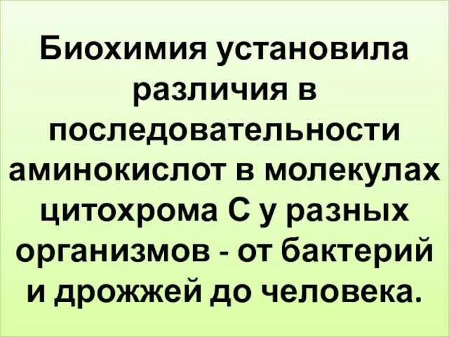 Биохимия установила различия в последовательности аминокислот в молекулах цитохрома С у разных