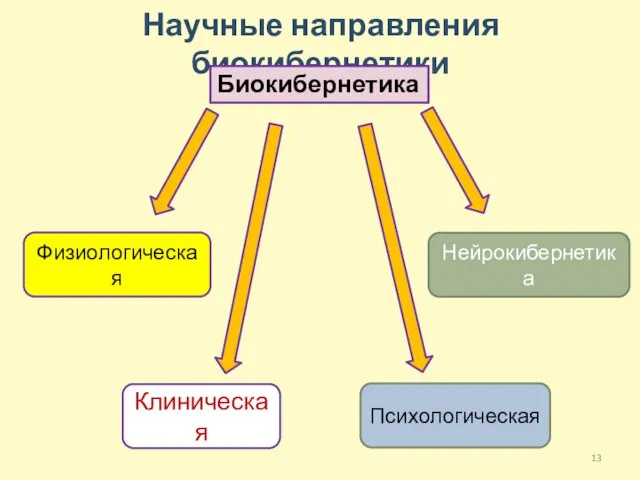 Научные направления биокибернетики Биокибернетика Физиологическая Клиническая Психологическая Нейрокибернетика