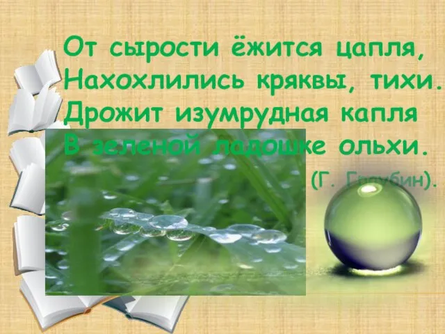 От сырости ёжится цапля, Нахохлились кряквы, тихи. Дрожит изумрудная капля В зеленой ладошке ольхи. (Г. Граубин).