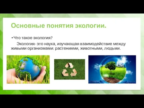 Основные понятия экологии. Что такое экология? Экология- это наука, изучающая взаимодействие между