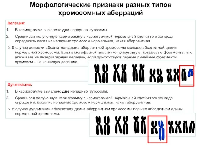 Морфологические признаки разных типов хромосомных аберраций Делеции: В кариограмме выявлено две непарных