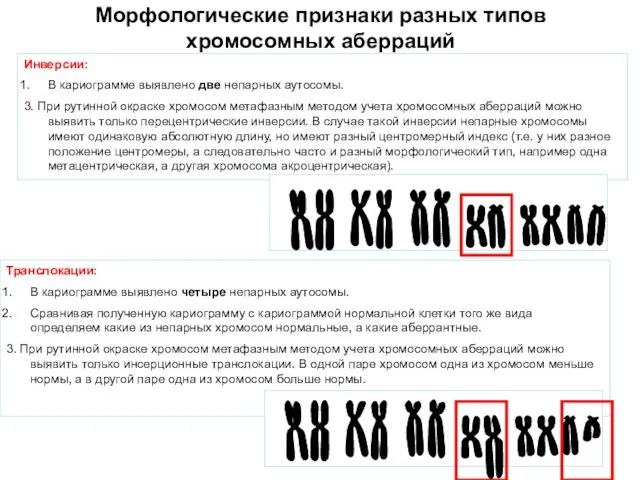 Морфологические признаки разных типов хромосомных аберраций Инверсии: В кариограмме выявлено две непарных