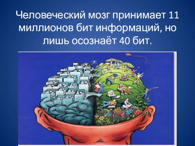 Человеческий мозг принимает 11 миллионов бит информаций, но лишь осознаёт 40 бит.