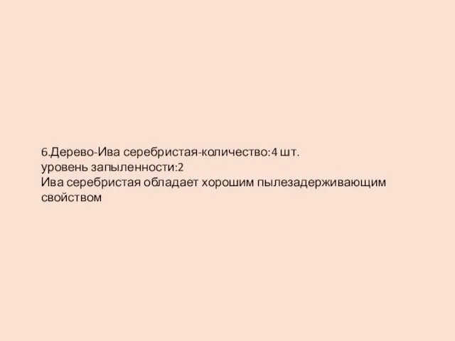 6.Дерево-Ива серебристая-количество:4 шт. уровень запыленности:2 Ива серебристая обладает хорошим пылезадерживающим свойством