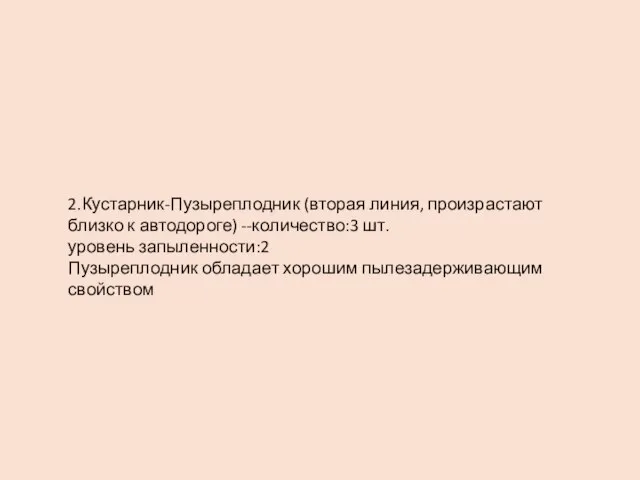 2.Кустарник-Пузыреплодник (вторая линия, произрастают близко к автодороге) --количество:3 шт. уровень запыленности:2 Пузыреплодник обладает хорошим пылезадерживающим свойством