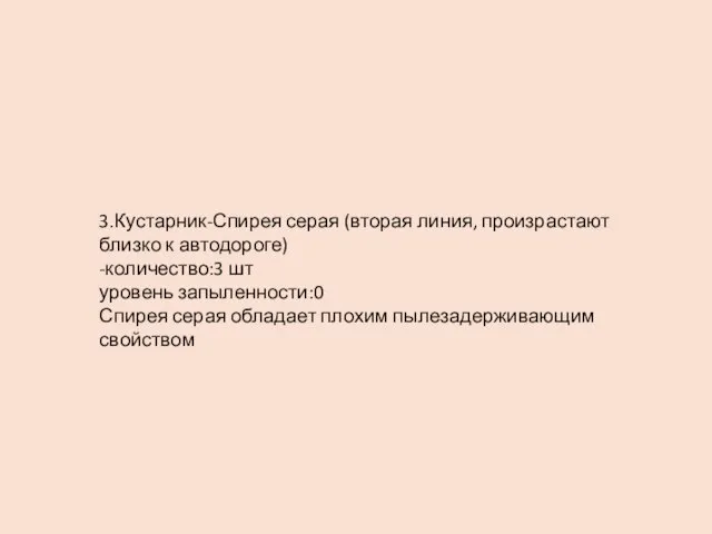 3.Кустарник-Спирея серая (вторая линия, произрастают близко к автодороге) -количество:3 шт уровень запыленности:0