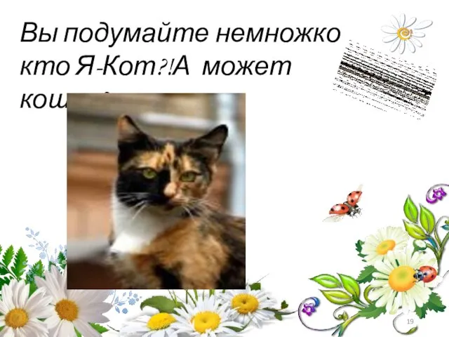 Вы подумайте немножко кто Я-Кот?!А может кошка?