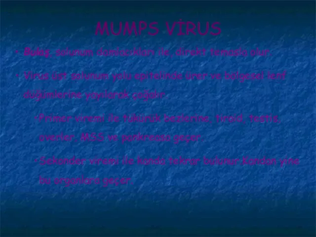 MUMPS VİRUS Bulaş, solunum damlacıkları ile, direkt temasla olur. Virus üst solunum