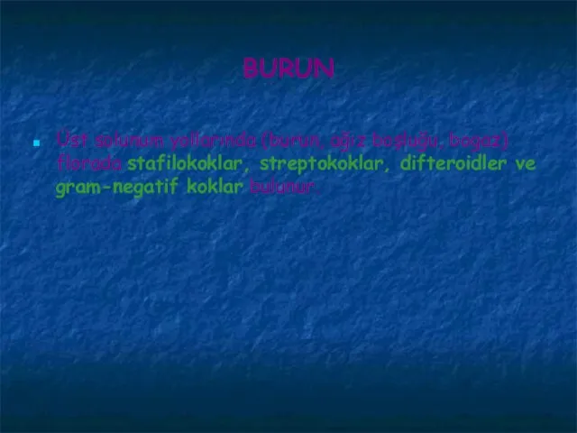 BURUN Üst solunum yollarında (burun, ağız boşluğu, bogaz) florada stafilokoklar, streptokoklar, difteroidler ve gram-negatif koklar bulunur.