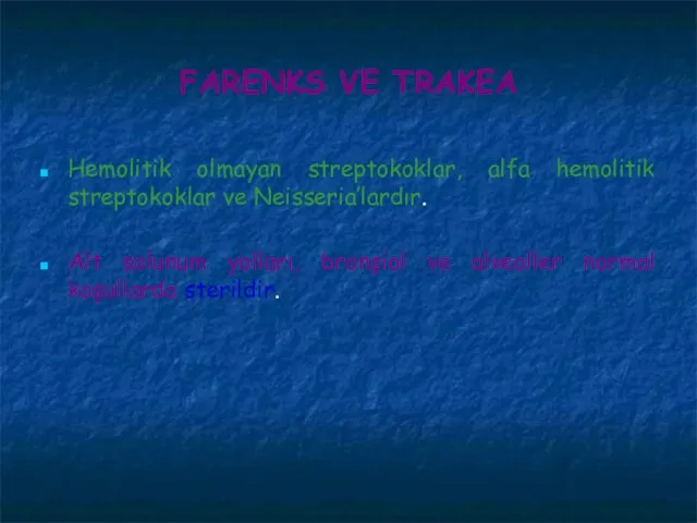 FARENKS VE TRAKEA Hemolitik olmayan streptokoklar, alfa hemolitik streptokoklar ve Neisseria’lardır. Alt