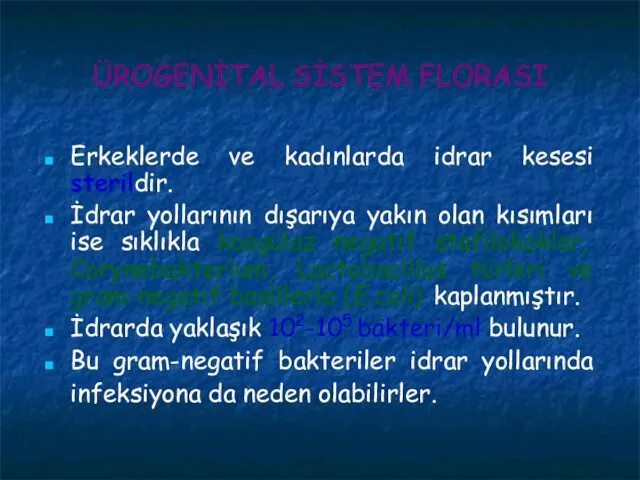 ÜROGENİTAL SİSTEM FLORASI Erkeklerde ve kadınlarda idrar kesesi sterildir. İdrar yollarının dışarıya